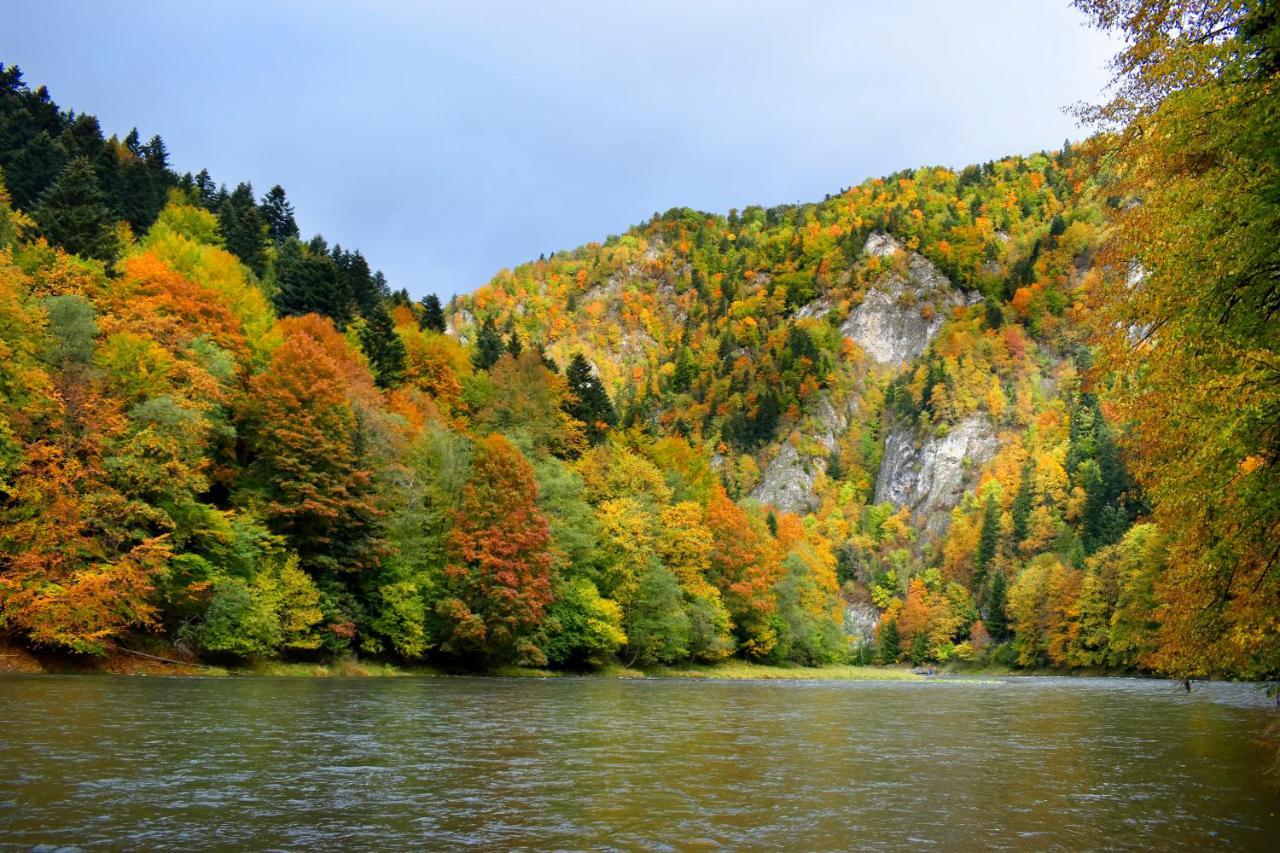 Agroturystyka Chmiel Sromowce Wyzne Luaran gambar